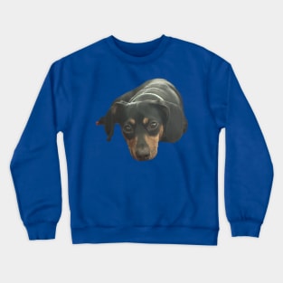 Sweet puppy face Crewneck Sweatshirt